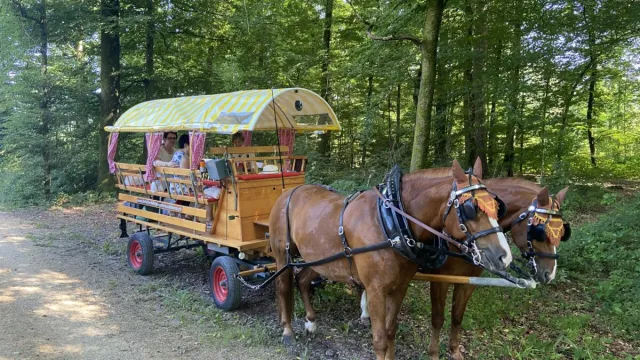 IMG_6187-scaled-e1658132510571 (Foto: Marianne Horner) IMG_6187-scaled-e1658132510571 (Foto: Marianne Horner)